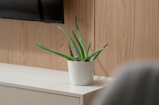 Apartament Modena - Poznań - 5