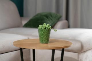 Apartament Modena - Poznań - 2