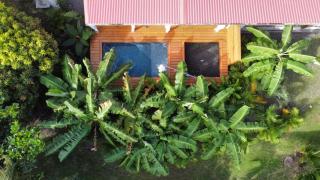 Le Jardin de La Tortue Verte - Sainte-Anne - 0