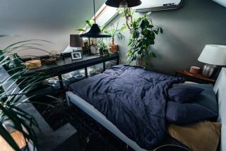 Apartament Centrum Warszawa 120 m - Warschau - 6