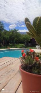 Colibríes en Las Moreras - 2