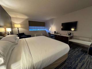 Skyline Hotel Detroit Airport, SureStay Collection by Best Western - 4