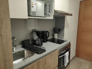 Urban Oasis Studio in Downtown Santiago - 9
