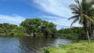 4 Beach Hostel acomodação 1 pessoas - 5