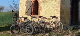 Domaine des Sources d'Astarac - - 3