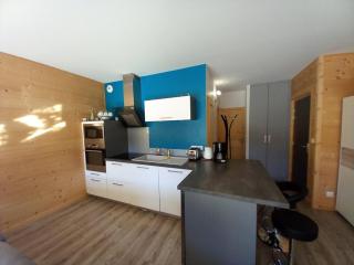 Chalet cosy au pied des pistes avec parking privé - FR-1-787-114 - Laveissière - 6