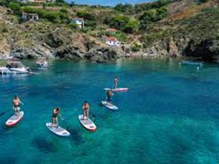 Duplex calme près des commodités, Argeles-sur-Mer - FR-1-732-94 - 9
