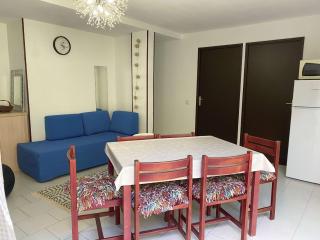 Spacieux T3 avec terrasse et piscine à Balaruc-les-Bains - FR-1-553-287 - Balaruc-les-Bains - 9