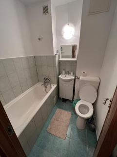 Central Apartment Circumvalatiunii - Timişoara - 1