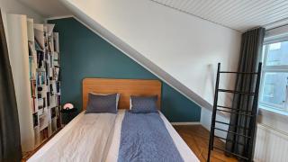 Stylish Downtown Apartment - Reykjavik - 1