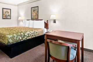 SureStay Hotel by Best Western Castro Valley - Castro Valley - 3