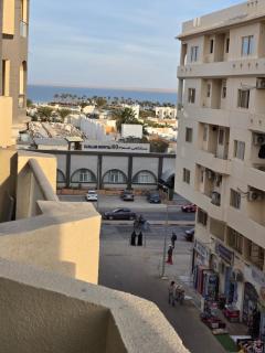 Florenza Khamsin bird - Hurghada - 9