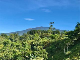 Casa Lajas - Casa 1 - Hospedaje, Granja, Eventos y Piscina - Turrialba - 2