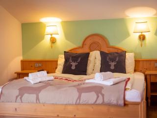 Winter Chalet Kaprun - 1