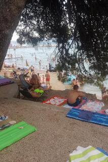 Family friendly house with a swimming pool Sikovo, Biograd - 23718 - Sveti Filip i Jakov - 6