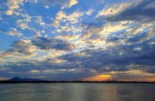 Samlee's Garden - Pakse - 5
