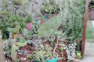 Charmant bungalow à Saint Pierre avec vue sur montagne - 2