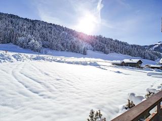 Studio cosy à La Clusaz avec balcon et garage, animaux admis - FR-1-818-9 - La Clusaz - 3