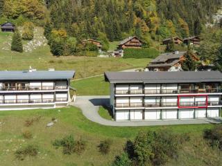 La Clusaz : Apt cosy 5 pers, parking, animaux OK - FR-1-818-57 - La Clusaz - 1