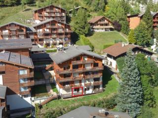La Clusaz : Appart cosy 6 pers, WiFi, parking, animaux ok - FR-1-818-89 - La Clusaz - 1