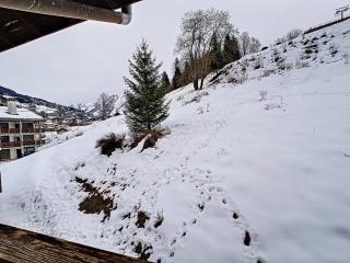 Studio 4 pers La Clusaz, animaux admis, parking - FR-1-818-96 - La Clusaz - 1