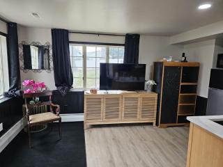 Beautiful Studio Apartment - - 5