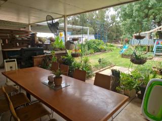 Farm On The Orchards - Karimba - 4
