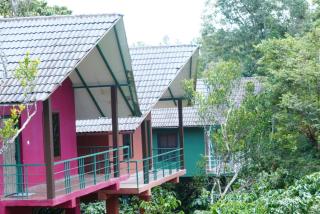 The Rain Tree resort - Kutta - 1