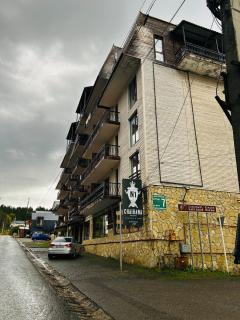 Rest in Bakuriani - Bakuriani - 8