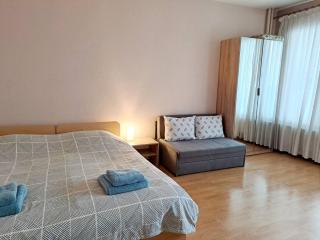 LevskiG Studio 10 min from Sofia Airport and city centre - Sofia - 4