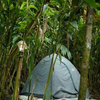 Wooden creek tent camping - 2