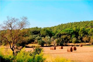Can Barrull-Costa Brava-Emporda - 9