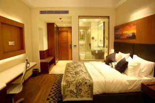 The P L Palace Agra - Agra - 4