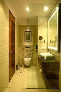 The P L Palace Agra - Agra - 3