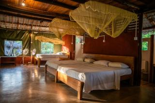 Cadjan Wild Yala - 7