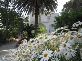 B&B Il Sogno - Anacapri - 3