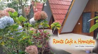 Rante Ijen Cafe & Homestay - Biau - 1