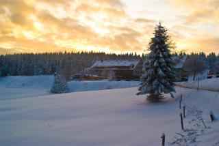 Hotel Zum Schneekopf "Garni" - Gehlberg - 4