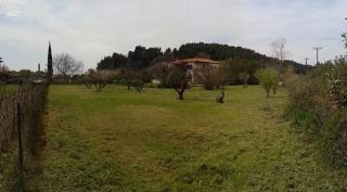 POSSIDI OASsIS - Kassandra - 9
