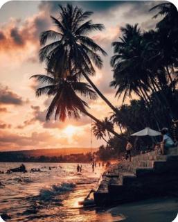 Seaview - Ấp Thiện Long - 0