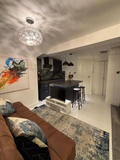 Newly renovated Modern studio apartment in West Kensington - Londra - 8