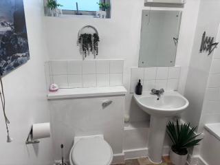 Cosy 1 bed Flat Wembley - Londra - 3