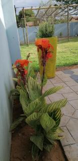 The Block INN - Gaborone - 1