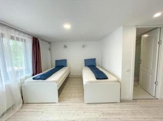 Pensiunea Eurosan Codrii Vlasinului - Ciucea - 6