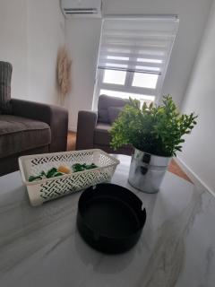 Apartmani DS - Kragujevac - 5