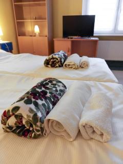 Pod starymi lipami - Stettin - 9