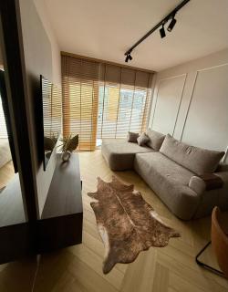 Apartament IzerSKI Resort - Świeradów-Zdrój - 8