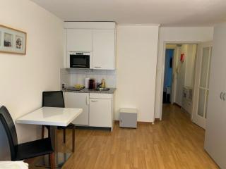 Studio in the heart of Zurich - Crown 17 - Zurigo - 9