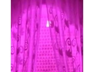 Hotel Sri Vinayak Paying Guest House, Prayagraj - Prayagraj - 2