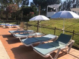 Villa Monte dos Pinheiros - Grândola - 1